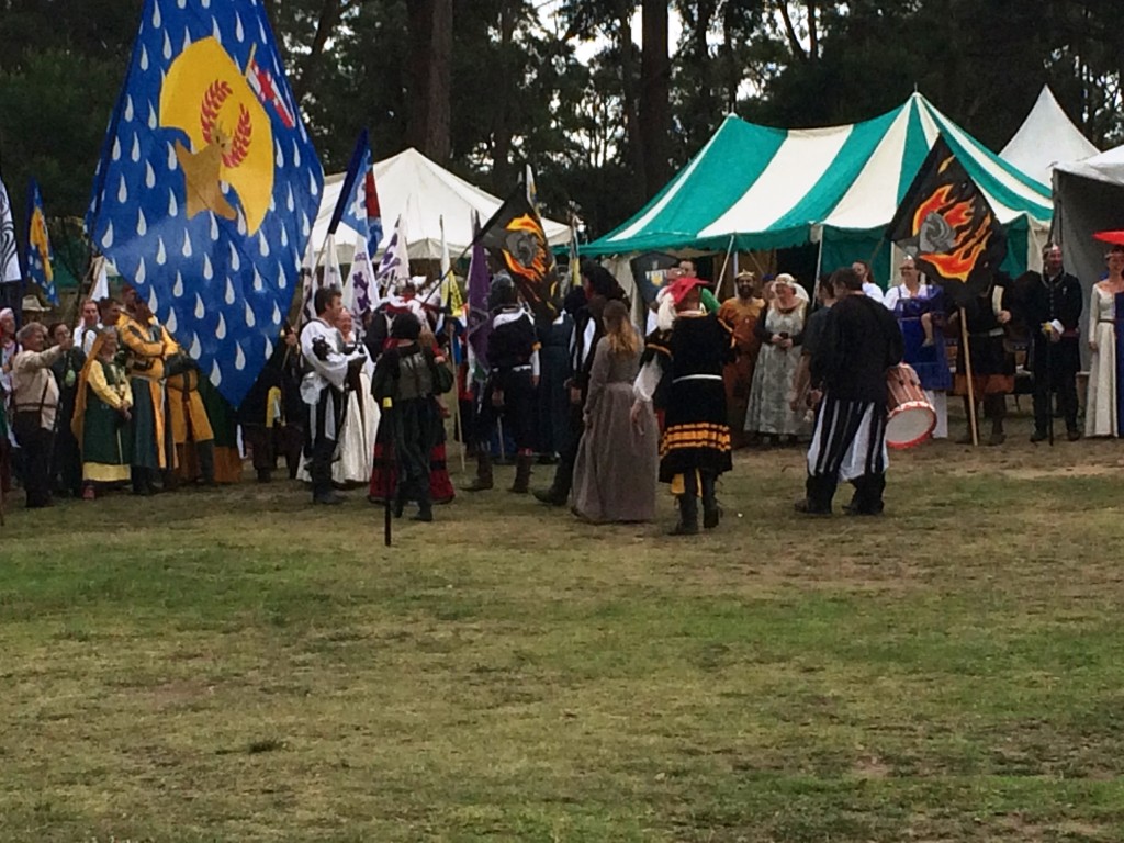 The Southern Rebels and their Allies in Opening Court. Photo by THL Ceara Shionnach, April 2015.