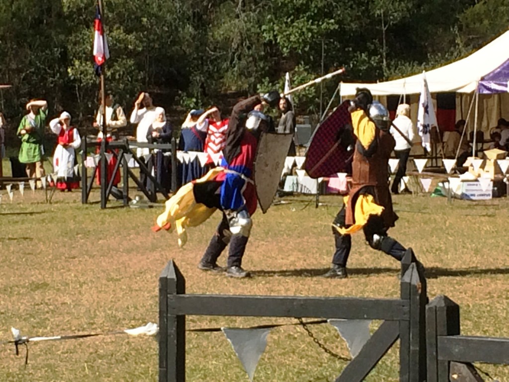 Grand Final of the Powerful Owl Fighter Auction Tournament between Sir Radbot (left) and Kaeso (right). Photo by TH Lady Ceara Shionnach, June 2015.