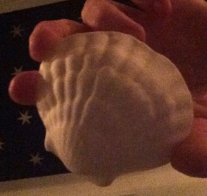 The detail on the back of the sugar paste scallop soteltie.