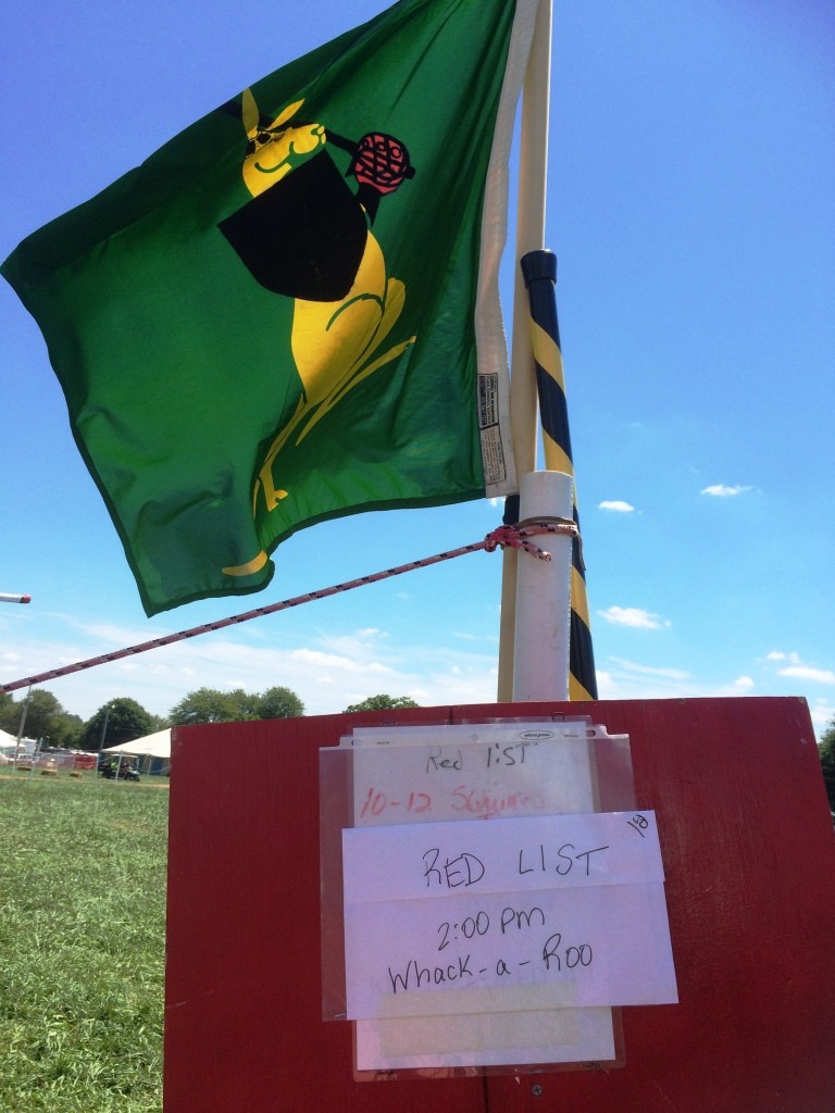 A boxing kangaroo flag (altered to be holding a heater and ratan sword) marks the Whack-a-Roo tourney field. Photo by THB Ceara Shionnach, July 2015.
